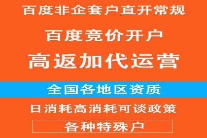 竞价推广策略解析：实战案例分析